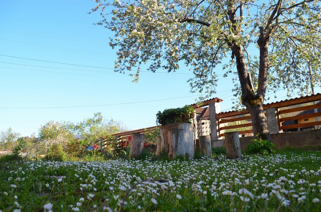 Villa Ribaritsa Buitenkant foto