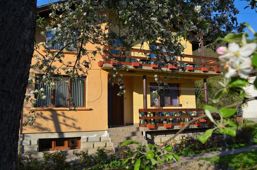 Villa Ribaritsa Buitenkant foto