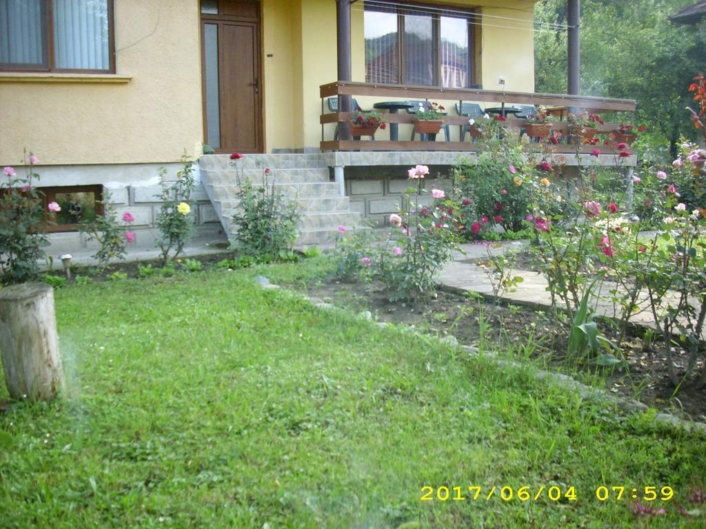Villa Ribaritsa Buitenkant foto