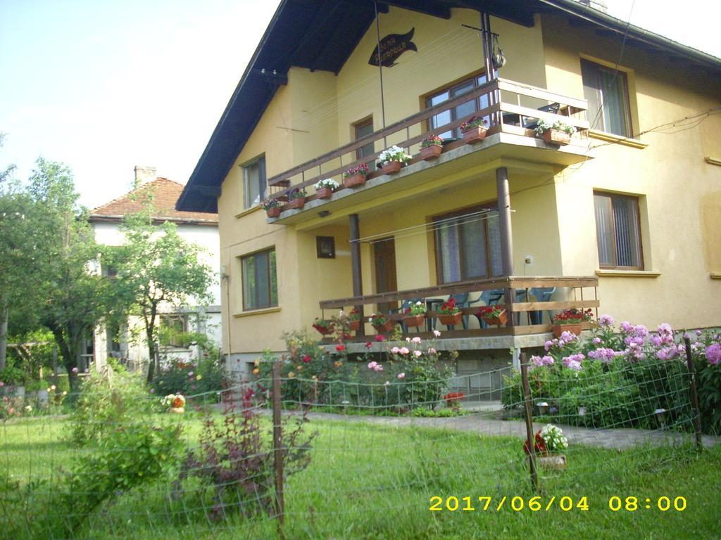 Villa Ribaritsa Buitenkant foto