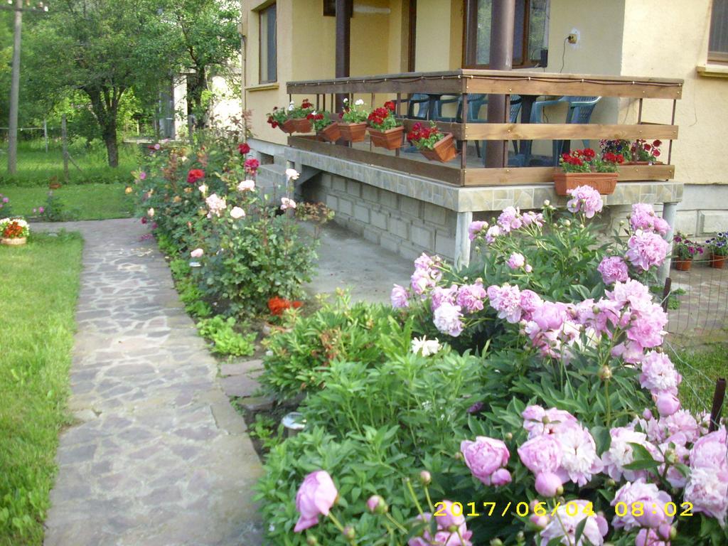 Villa Ribaritsa Buitenkant foto