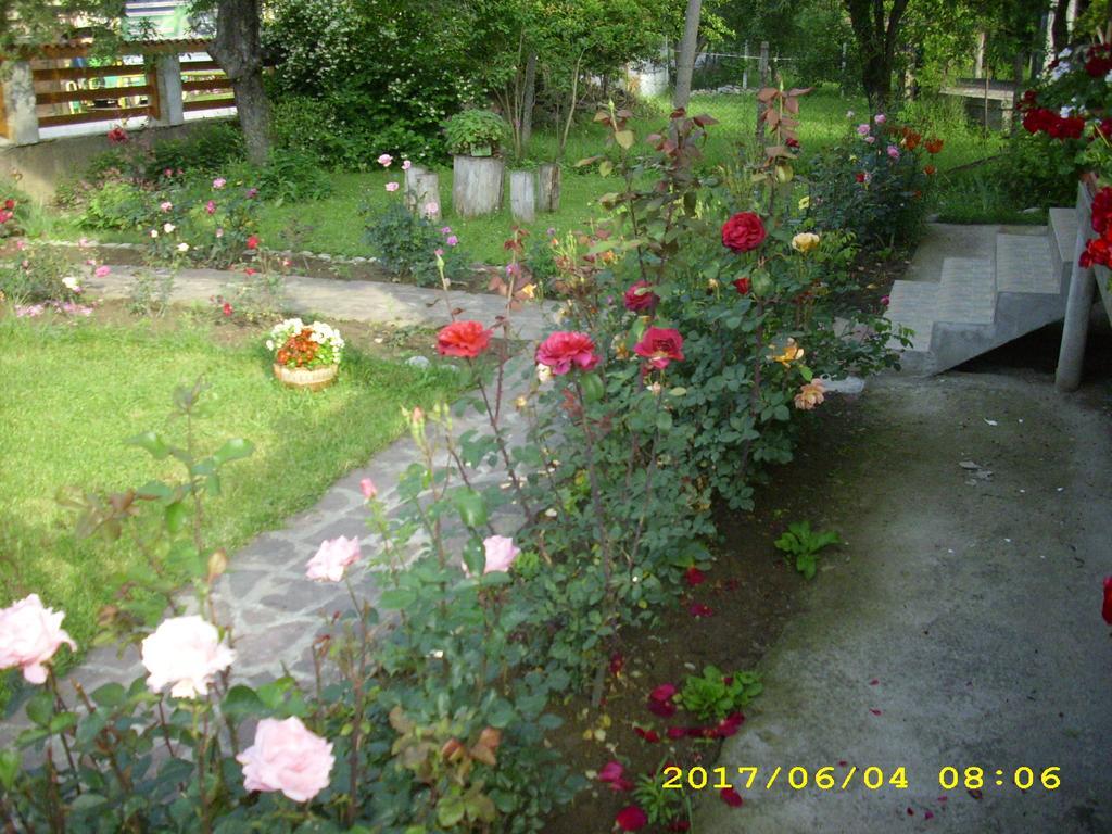 Villa Ribaritsa Buitenkant foto