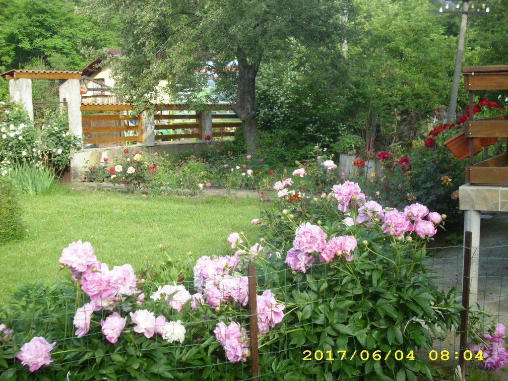 Villa Ribaritsa Buitenkant foto
