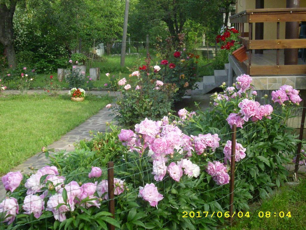 Villa Ribaritsa Buitenkant foto
