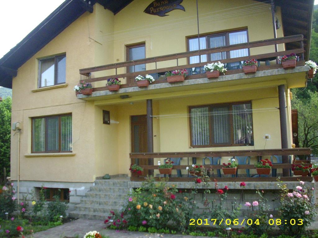 Villa Ribaritsa Buitenkant foto
