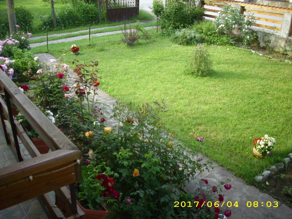 Villa Ribaritsa Buitenkant foto