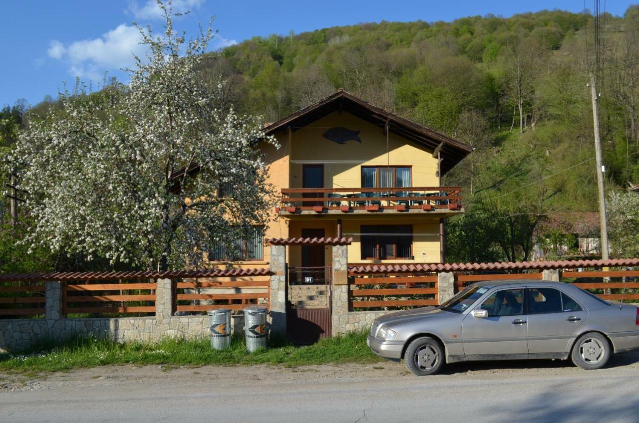 Villa Ribaritsa Buitenkant foto